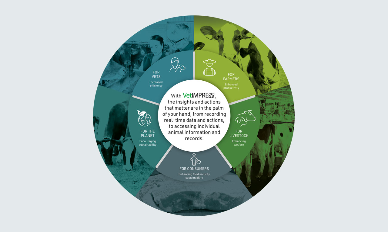 Connecting data to support sustainable modern farm vet practice